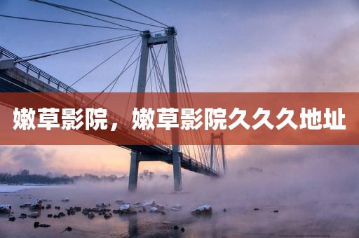 嫩草影院，嫩草影院久久久地址