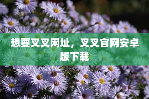 想要叉叉网址，叉叉官网安卓版下载