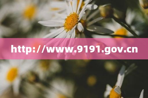 http://www.9191.gov.cn