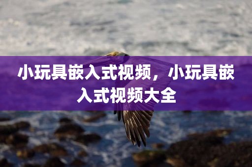 小玩具嵌入式视频，小玩具嵌入式视频大全