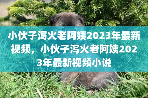 小伙子泻火老阿姨2023年最新视频，小伙子泻火老阿姨2023年最新视频小说