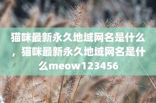猫咪最新永久地域网名是什么，猫咪最新永久地域网名是什么meow123456
