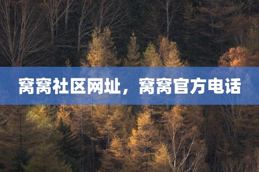 窝窝社区网址，窝窝官方电话