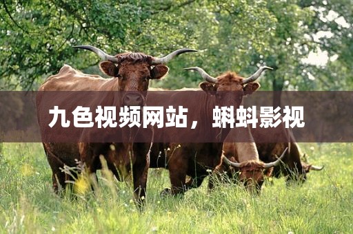 九色视频网站，蝌蚪影视