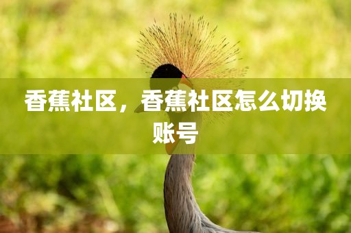 香蕉社区，香蕉社区怎么切换账号