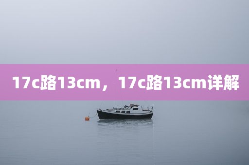 17c路13cm，17c路13cm详解