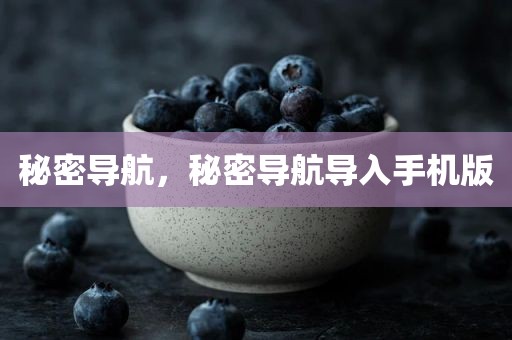 秘密导航，秘密导航导入手机版