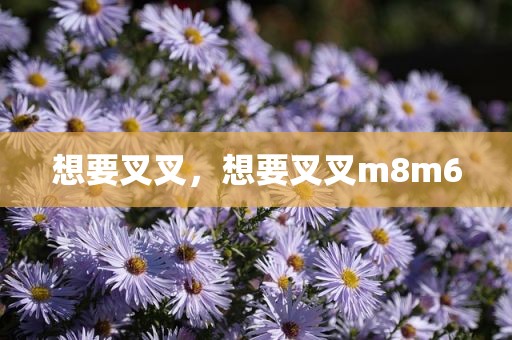 想要叉叉，想要叉叉m8m6