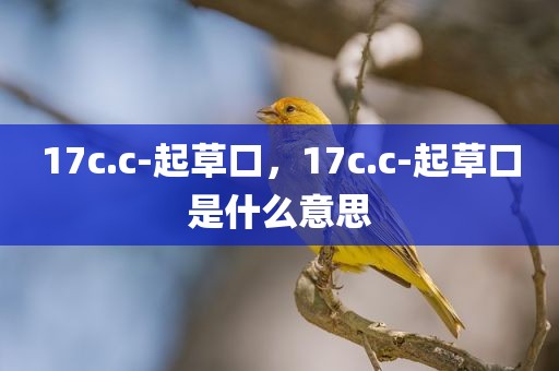 17c.c-起草口，17c.c-起草口是什么意思