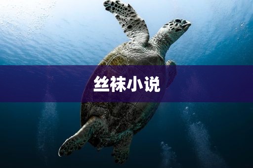 丝袜小说