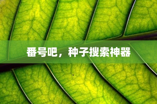 番号吧，种子搜索神器