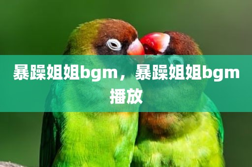 暴躁姐姐bgm，暴躁姐姐bgm播放