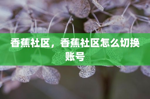 香蕉社区，香蕉社区怎么切换账号