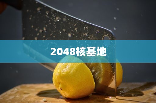 2048核基地