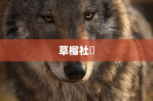 草榴社區