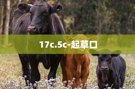 17c.5c-起草口