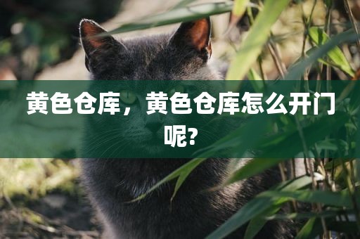 黄色仓库，黄色仓库怎么开门呢?