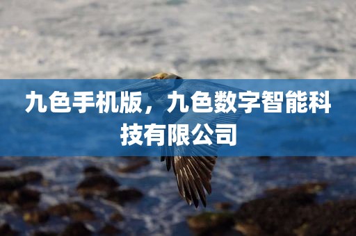 九色手机版，九色数字智能科技有限公司