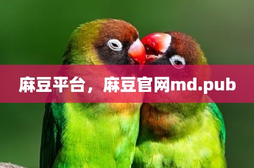 麻豆平台，麻豆官网md.pub