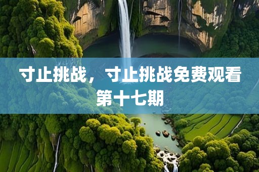 寸止挑战，寸止挑战免费观看第十七期