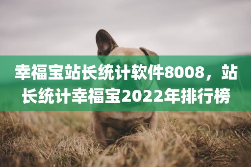 幸福宝站长统计软件8008，站长统计幸福宝2022年排行榜