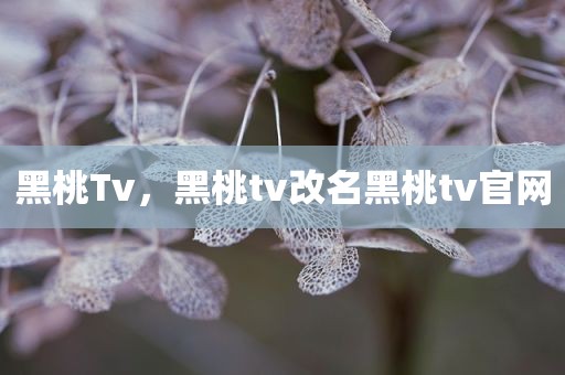 黑桃Tv，黑桃tv改名黑桃tv官网