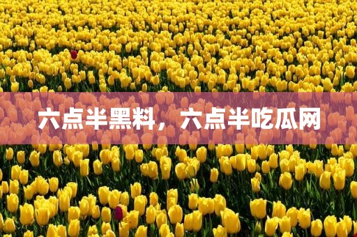 六点半黑料，六点半吃瓜网