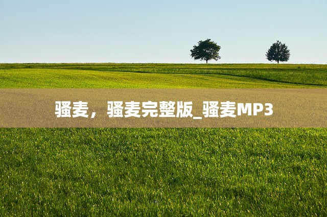 骚麦，骚麦完整版_骚麦MP3