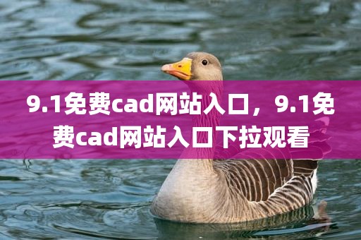 9.1免费cad网站入口，9.1免费cad网站入口下拉观看