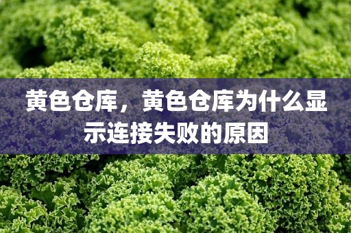 黄色仓库，黄色仓库为什么显示连接失败的原因