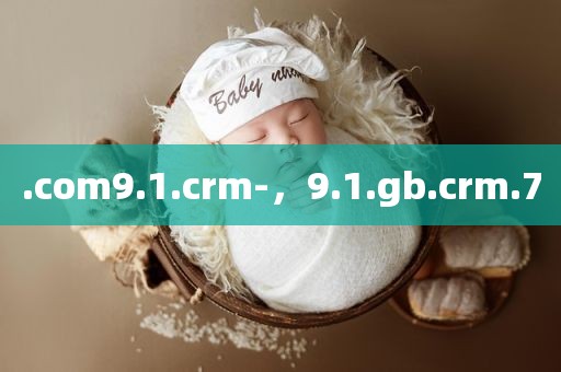 .com9.1.crm-，9.1.gb.crm.7