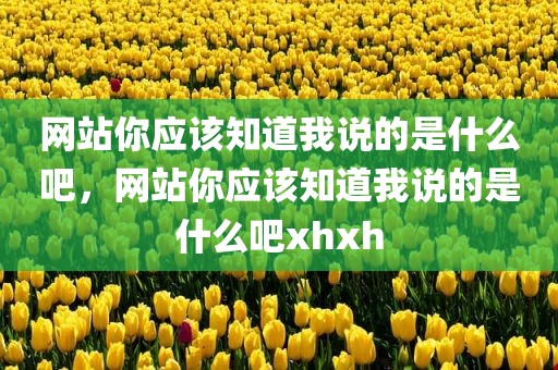 网站你应该知道我说的是什么吧，网站你应该知道我说的是什么吧xhxh