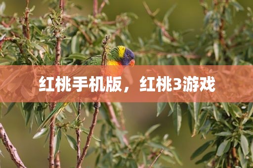 红桃手机版，红桃3游戏