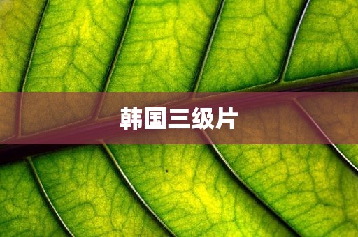 韩国三级片