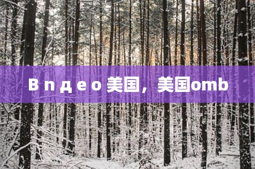 B n д e o 美国，美国omb