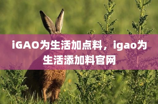 iGAO为生活加点料，igao为生活添加料官网