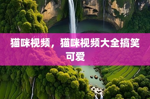 猫咪视频，猫咪视频大全搞笑可爱