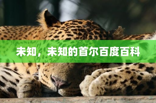 未知，未知的首尔百度百科