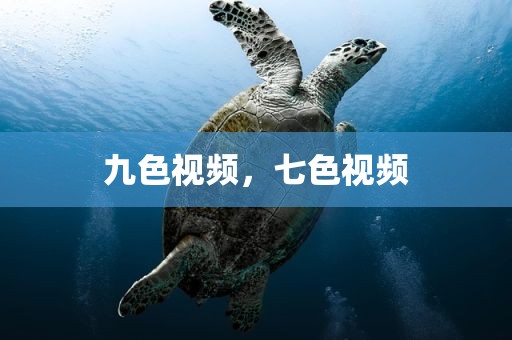 九色视频，七色视频