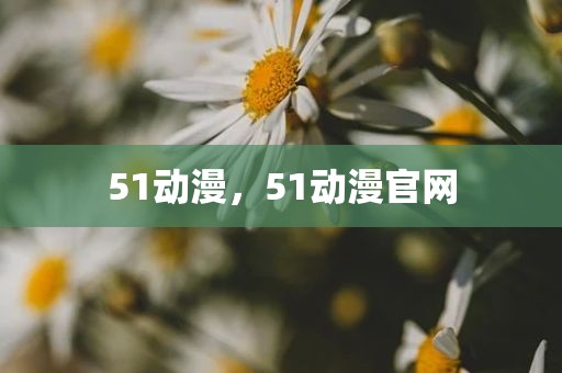 51动漫，51动漫官网