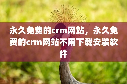 永久免费的crm网站，永久免费的crm网站不用下载安装软件
