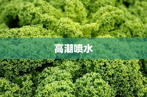高潮喷水