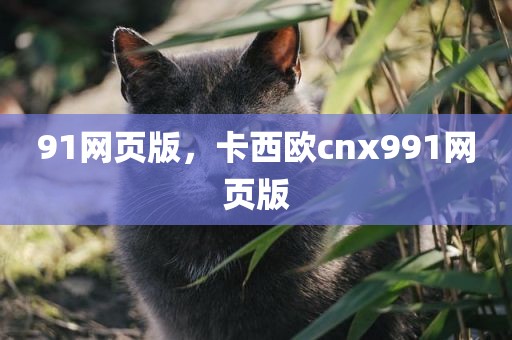 91网页版，卡西欧cnx991网页版