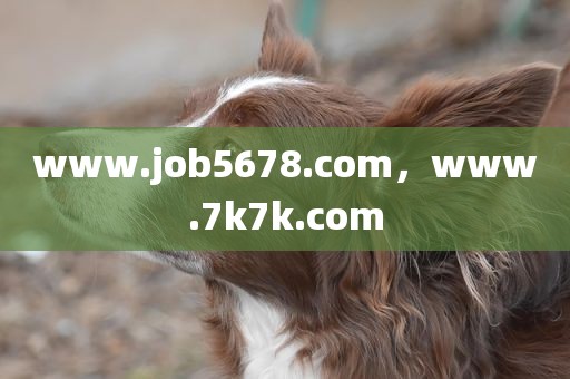 www.job5678.com，www.7k7k.com