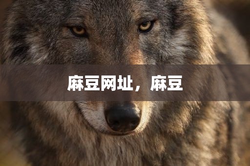 麻豆网址，麻豆