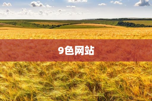 9色网站