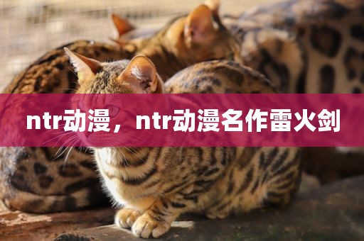 ntr动漫，ntr动漫名作雷火剑