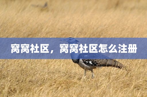 窝窝社区，窝窝社区怎么注册