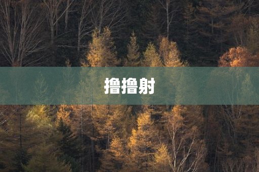 撸撸射