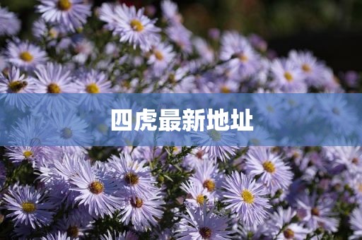 四虎最新地址